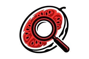 桥本 - 吃瓜社Logo